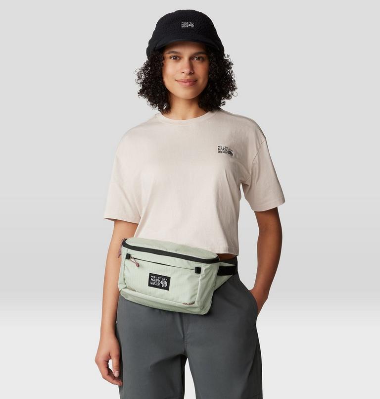 Camp 4 Hip Pack, Color: Cactus White, image 6