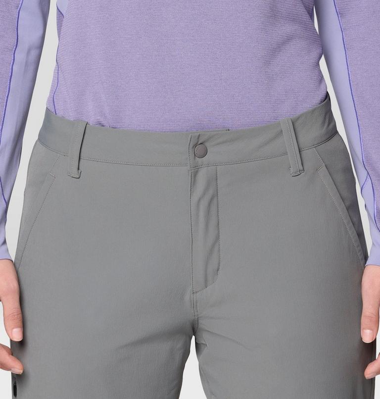 Women's Yumalina Lined Pant, Color: Sediment, image 5