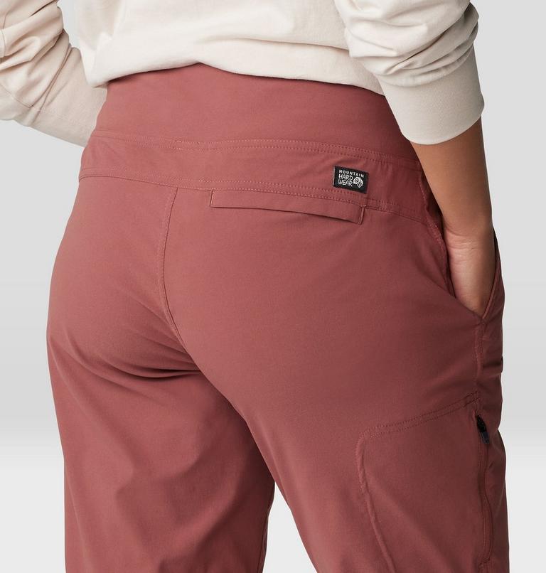 Women's Dynama Pant, Color: Clay Earth, image 6