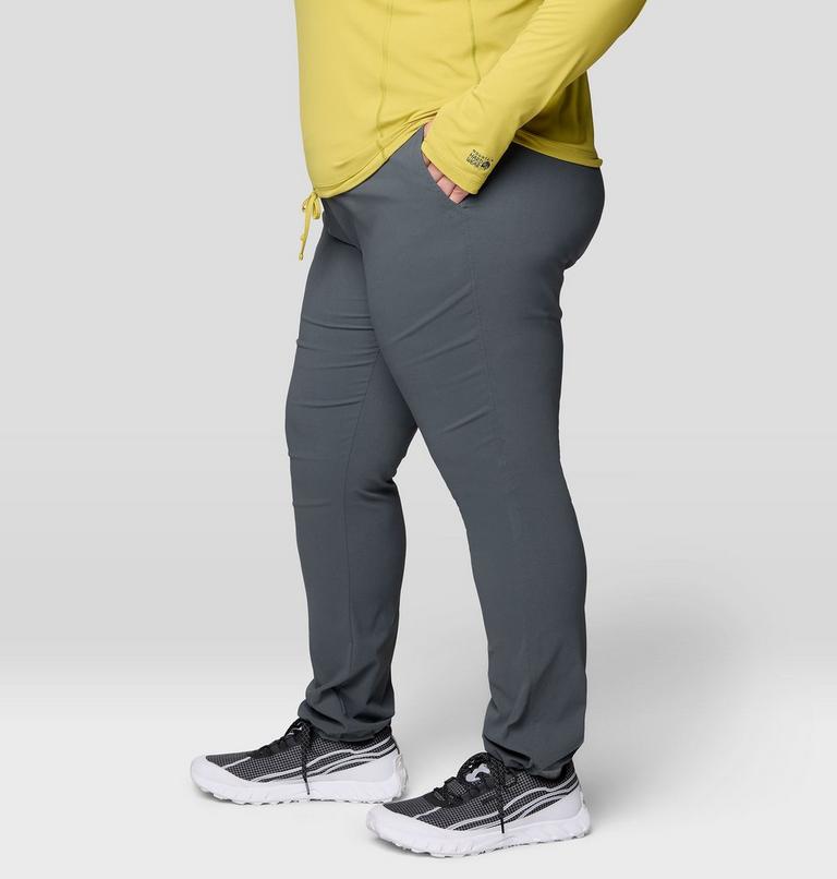 Women's Dynama Pant - Plus Size, Color: Volcanic, image 4
