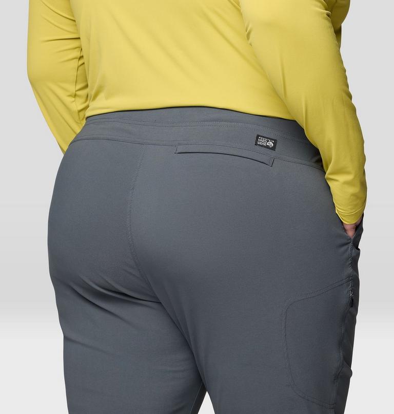 Women's Dynama Pant - Plus Size, Color: Volcanic, image 6