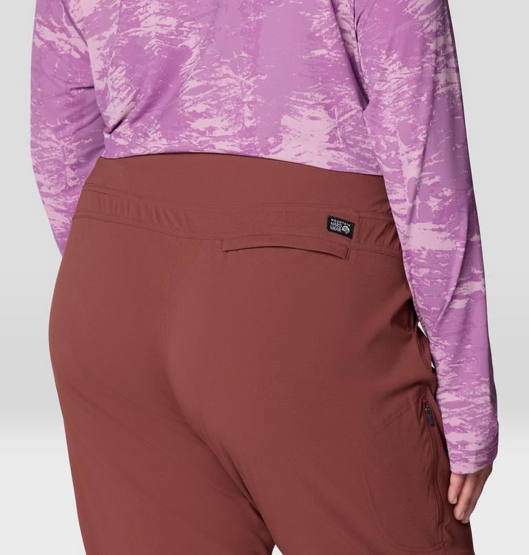 Women's Dynama Pant - Plus Size, Color: Bourbon Brown, image 6