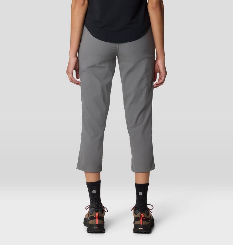 Women's Dynama Crop, Color: Sediment, image 4