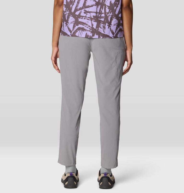 Women's Dynama Ankle Pant, Color: Approaching Storm, image 4