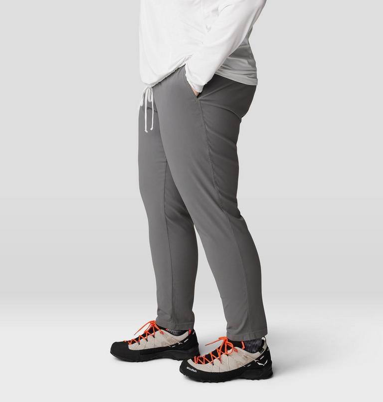 Women's Dynama Ankle Pant - Plus Size, Color: Sediment, image 5