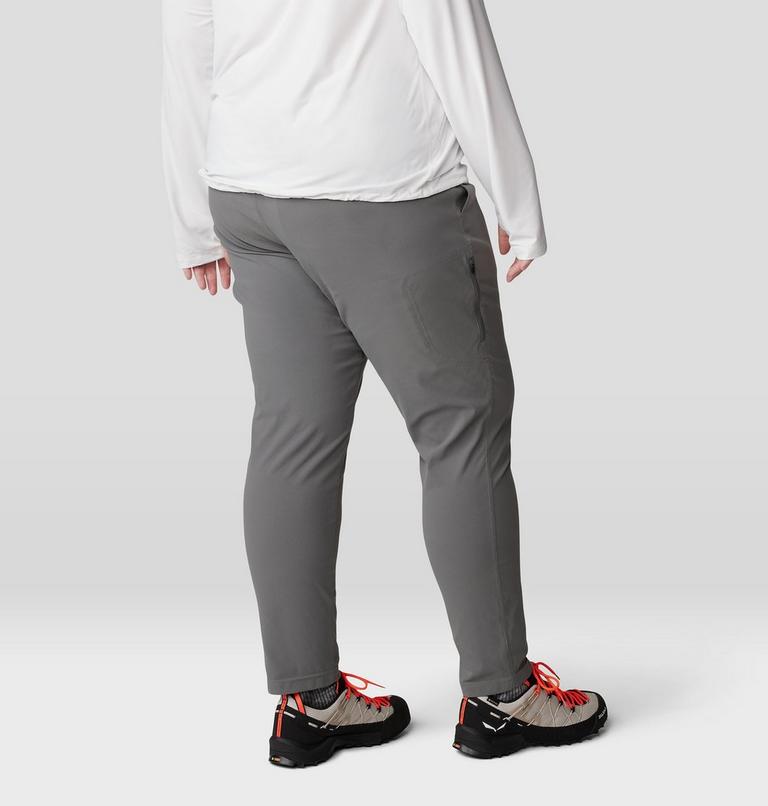 Women's Dynama Ankle Pant - Plus Size, Color: Sediment, image 4