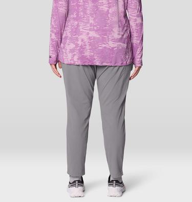 Women's Dynama Ankle Pant - Plus Size, Color: Approaching Storm, image 11