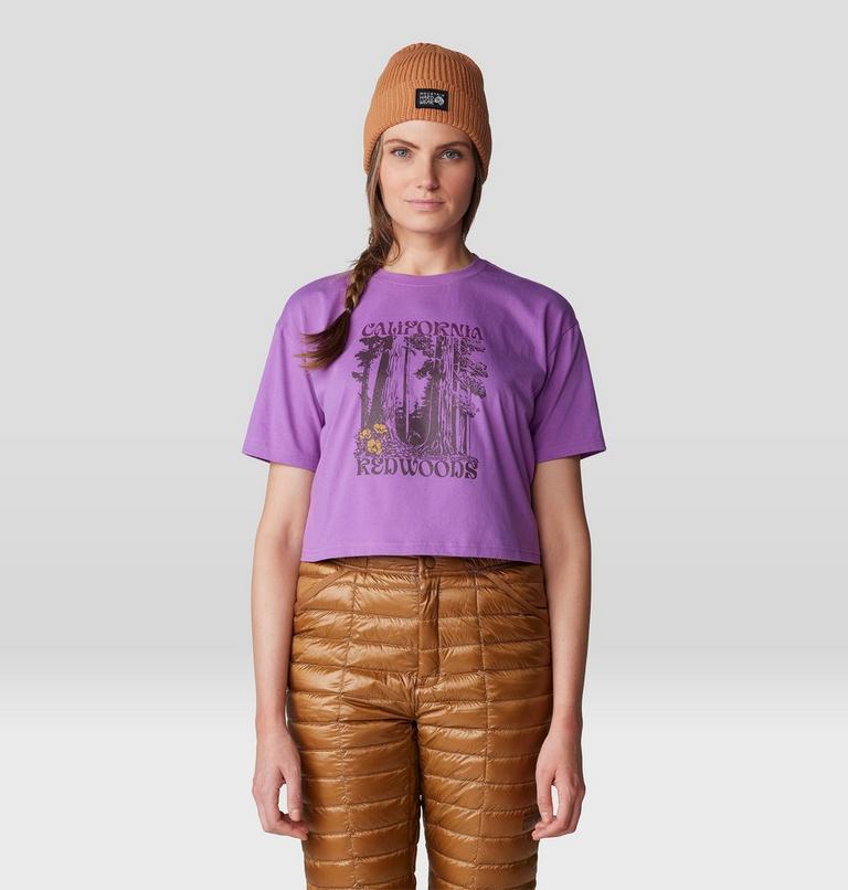 Women's Landmark Boxy Crop Short Sleeve, Color: Lilac Glow, image 5