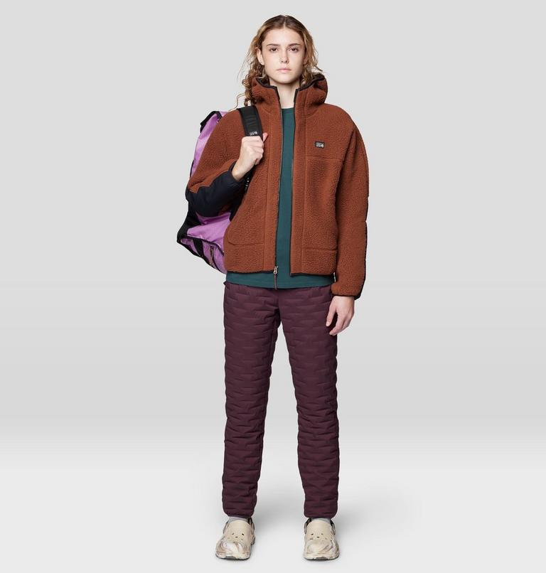 Women's HiCamp Fleece Hoody, Color: Cocoa Brown, image 2