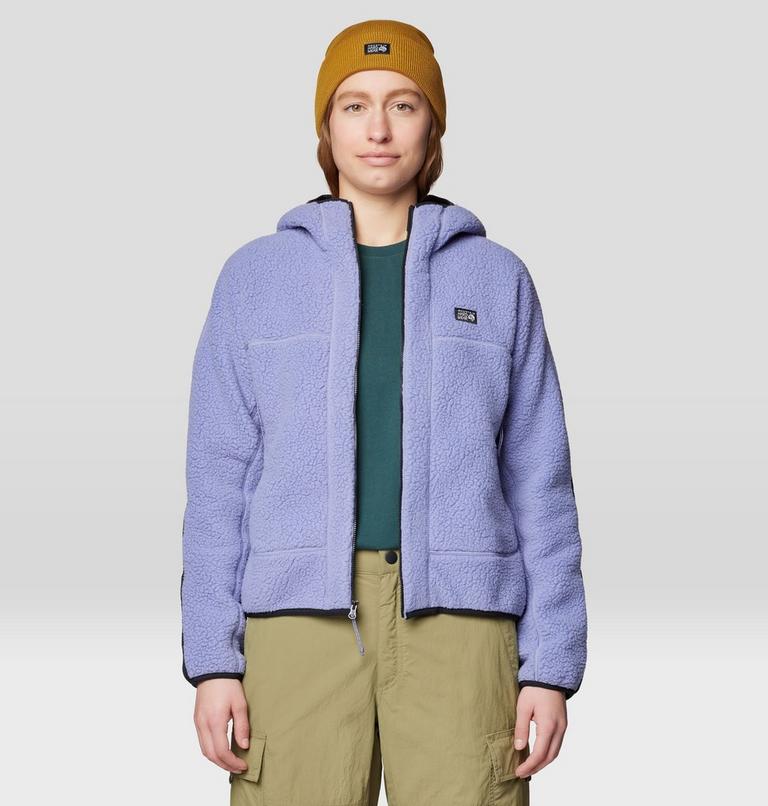 Women's HiCamp Fleece Hoody, Color: Avid, image 4
