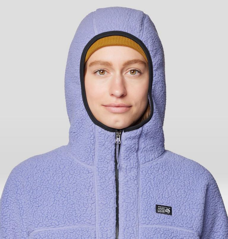 Women's HiCamp Fleece Hoody, Color: Avid, image 5