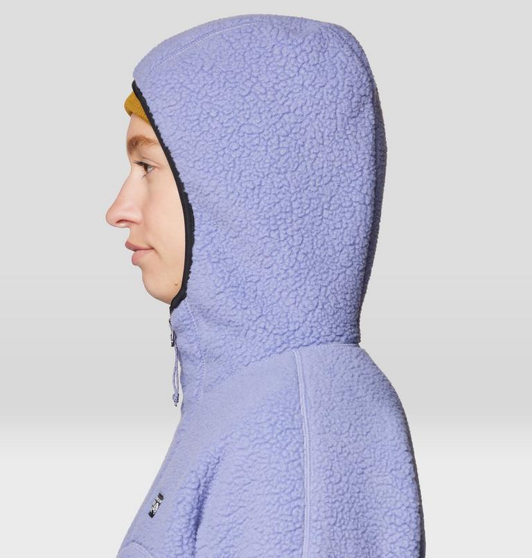Women's HiCamp Fleece Hoody, Color: Avid, image 6