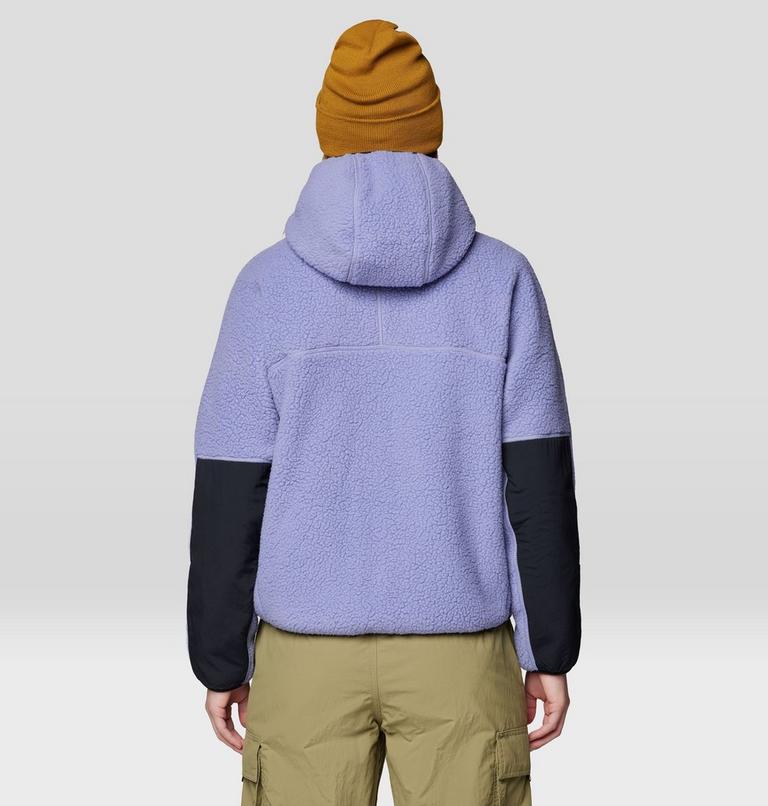 Women's HiCamp Fleece Hoody, Color: Avid, image 2