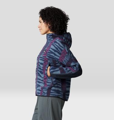 Women's HiCamp Fleece Printed Hoody, Color: Moon Blue Ridge Stripe Print, image 3