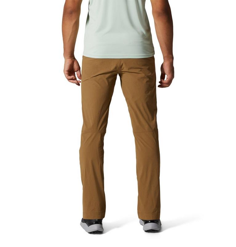 Men's Basin Trek Pant, Color: Corozo Nut, image 2