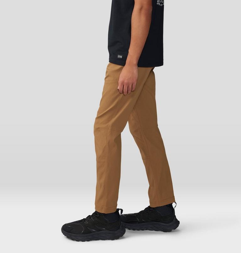 Pantalon Hardwear AP Active, Color: Corozo Nut, image 4