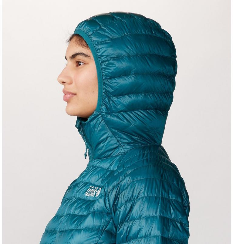 Women's Ghost Whisperer Hoody, Color: Jack Pine, image 5