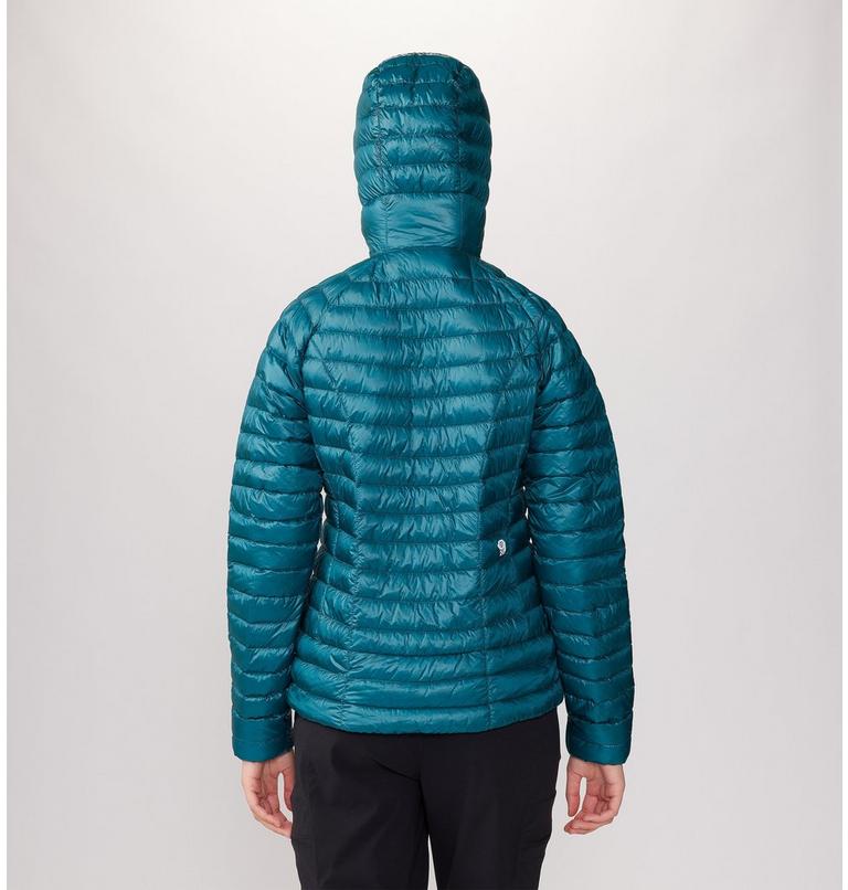 Women's Ghost Whisperer Hoody, Color: Jack Pine, image 2