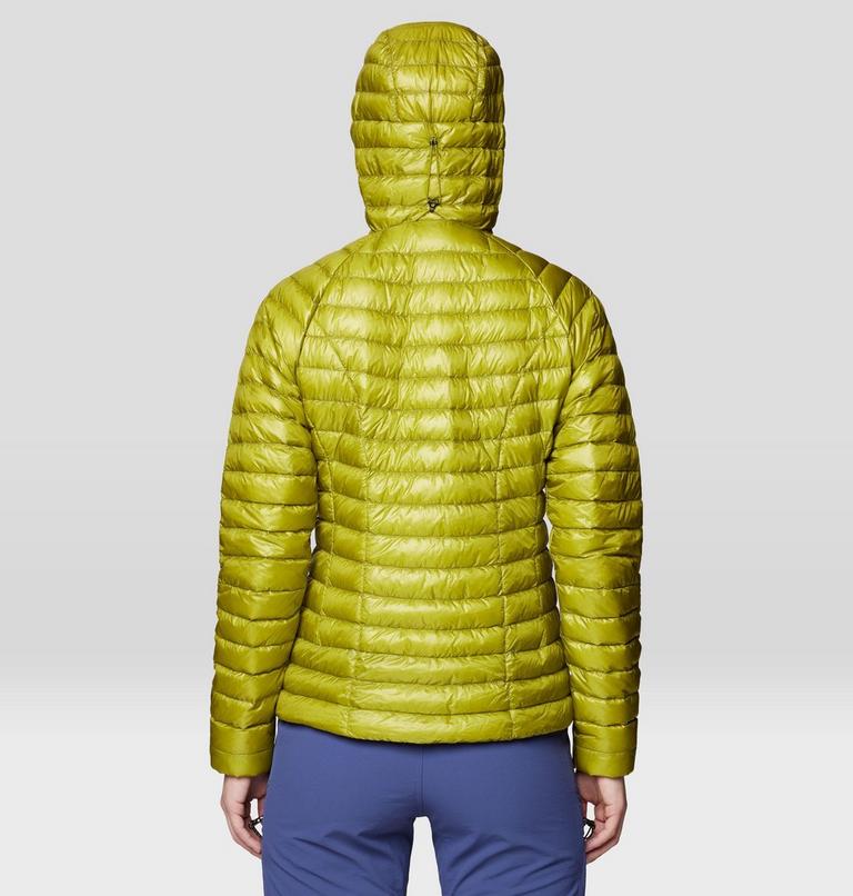 Women's Ghost Whisperer Hoody, Color: Python Green, image 3