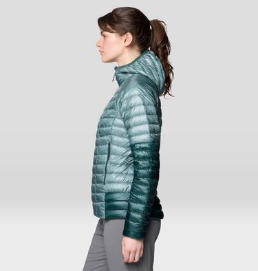 Women's Ghost Whisperer Hoody, Color: Blue Sage/Verve, image 4