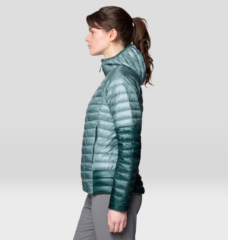 Women's Ghost Whisperer Hoody, Color: Blue Sage/Verve, image 4