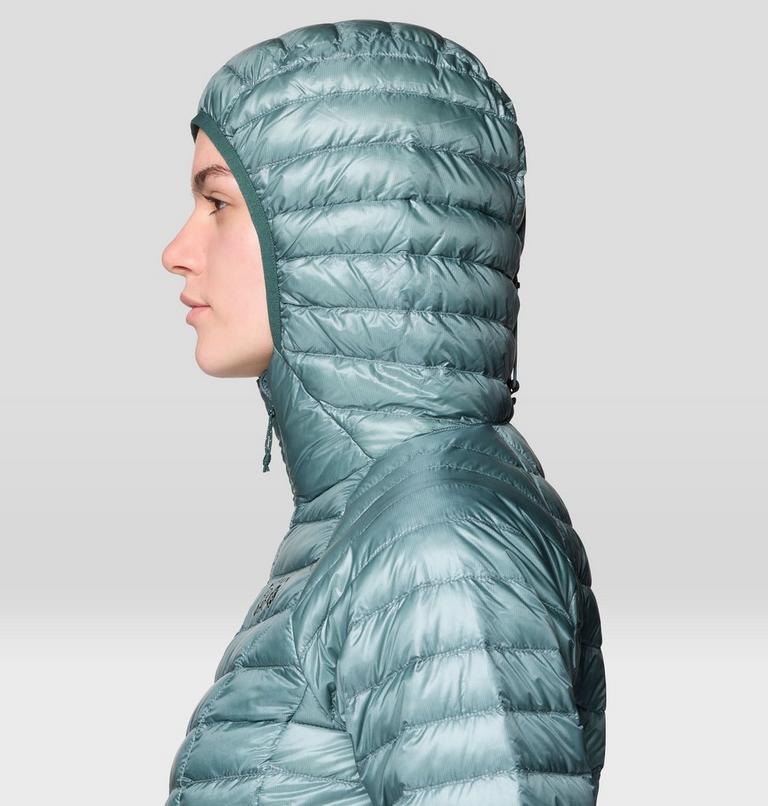 Women's Ghost Whisperer Hoody, Color: Blue Sage/Verve, image 6