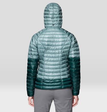 Women's Ghost Whisperer Hoody, Color: Blue Sage/Verve, image 3