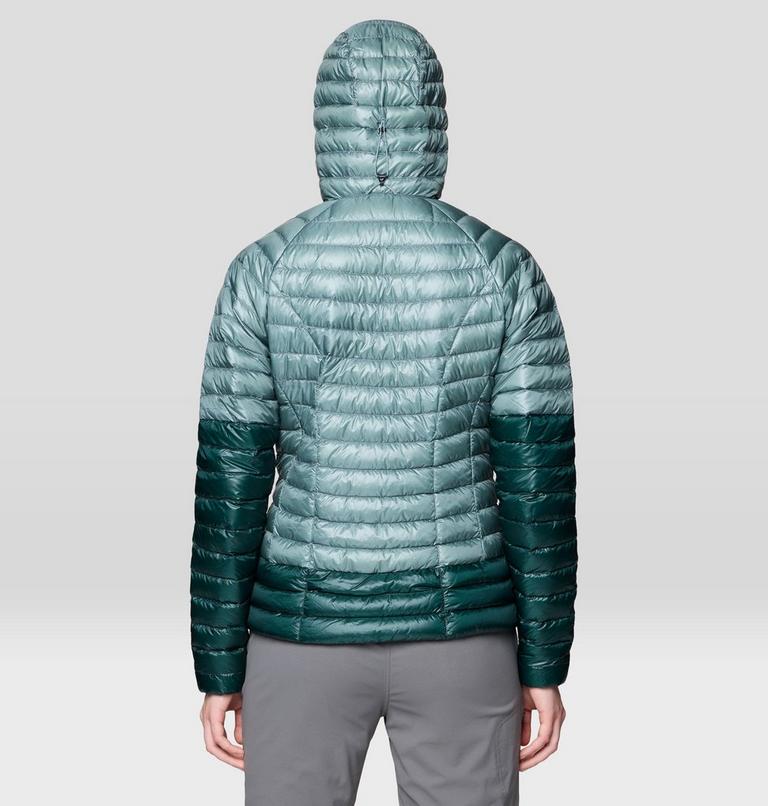 Women's Ghost Whisperer Hoody, Color: Blue Sage/Verve, image 3