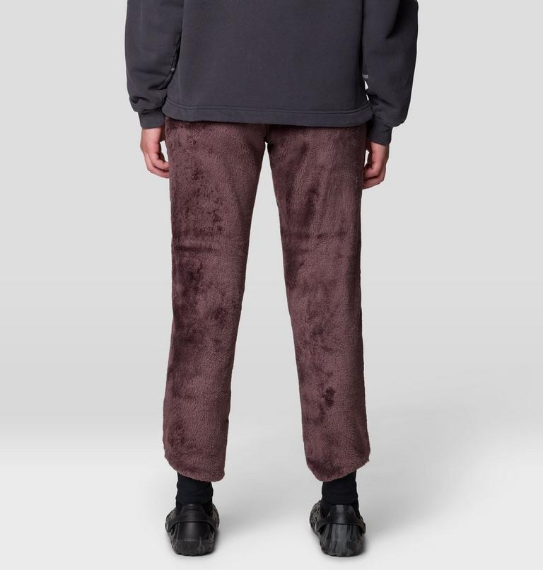 Women's Polartec&reg; High Loft Pant, Color: Carob, image 4