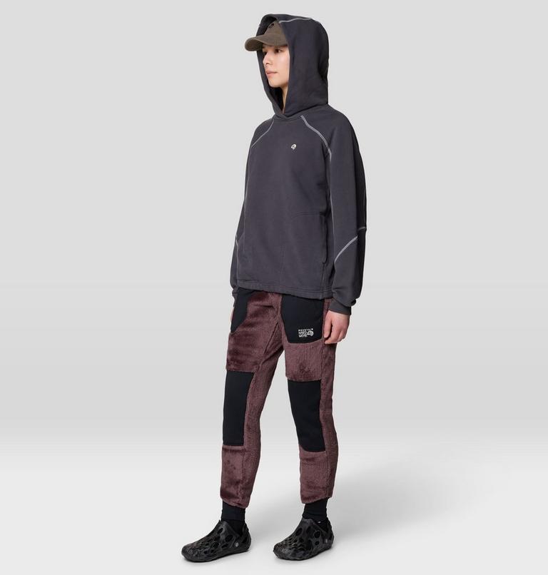 Women's Polartec&reg; High Loft Pant, Color: Carob, image 2