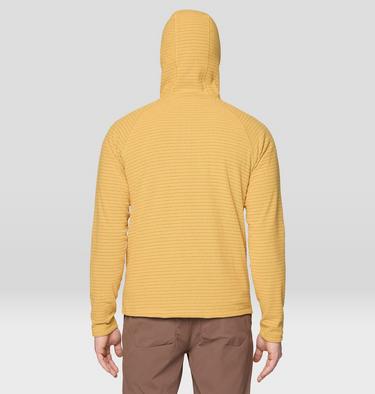 Men's Summit Grid Hoody, Color: Sundown Gold, image 6