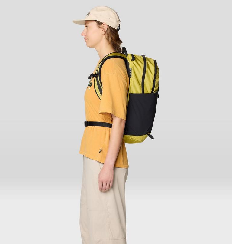 Field Day 22L Backpack, Color: Bright Olive, image 4