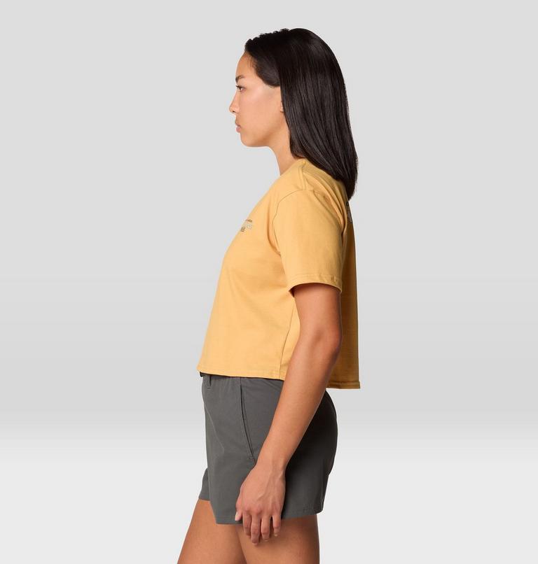 Women's High Altitude Boxy Crop Short Sleeve, Color: Sundown Gold, image 4