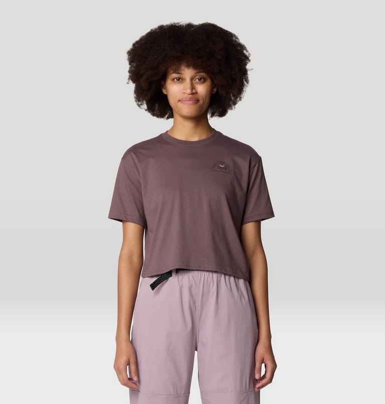 Women's Seek Floral Boxy Crop Short Sleeve, Color: Warm Ash, image 1