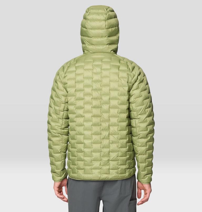 Men's Temescalborz Down Hoody, Color: Light Cactus, image 3