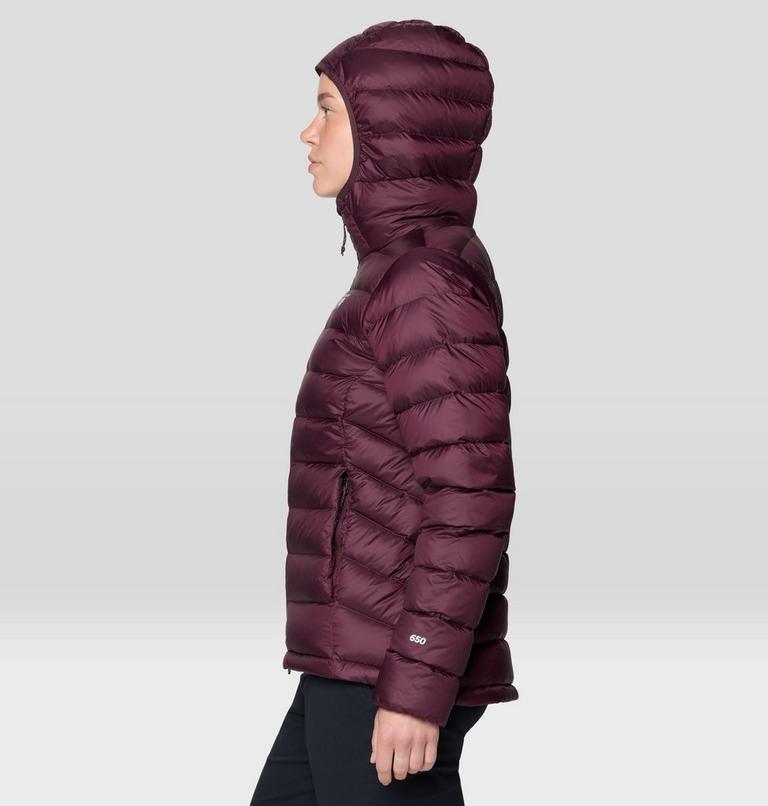 Women's Tiberondack Down Hoody, Color: Blackberry, image 3
