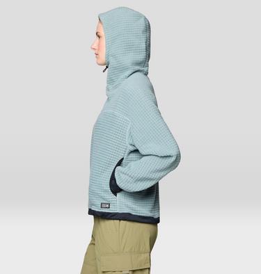 Women's Summit Grid Big Grid Hoody, Color: Blue Sage, image 4
