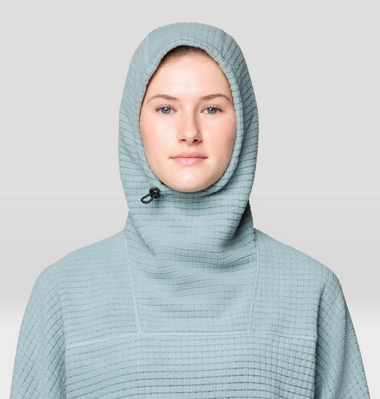 Women's Summit Grid Big Grid Hoody, Color: Blue Sage, image 5