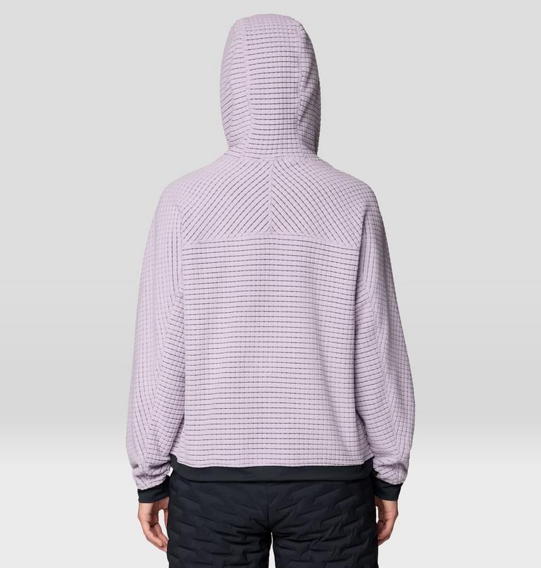 Women's Summit Grid Big Grid Hoody, Color: Atmospheric, image 3