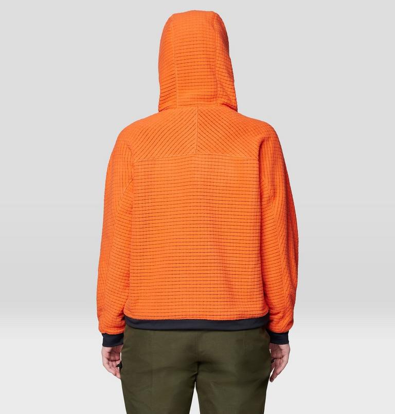 Women's Summit Grid Big Grid Hoody, Color: Aspect, image 2