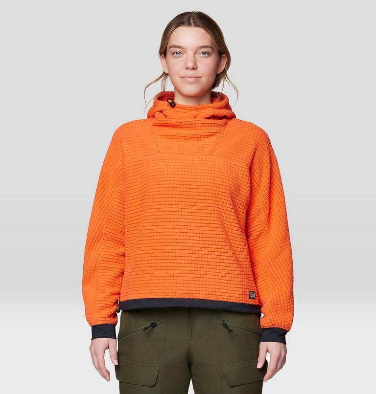 Women's Summit Grid Big Grid Hoody, Color: Aspect, image 1