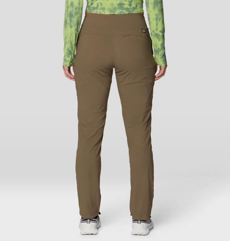 Women's Dynama Lined Pant, Color: Tierra, image 3