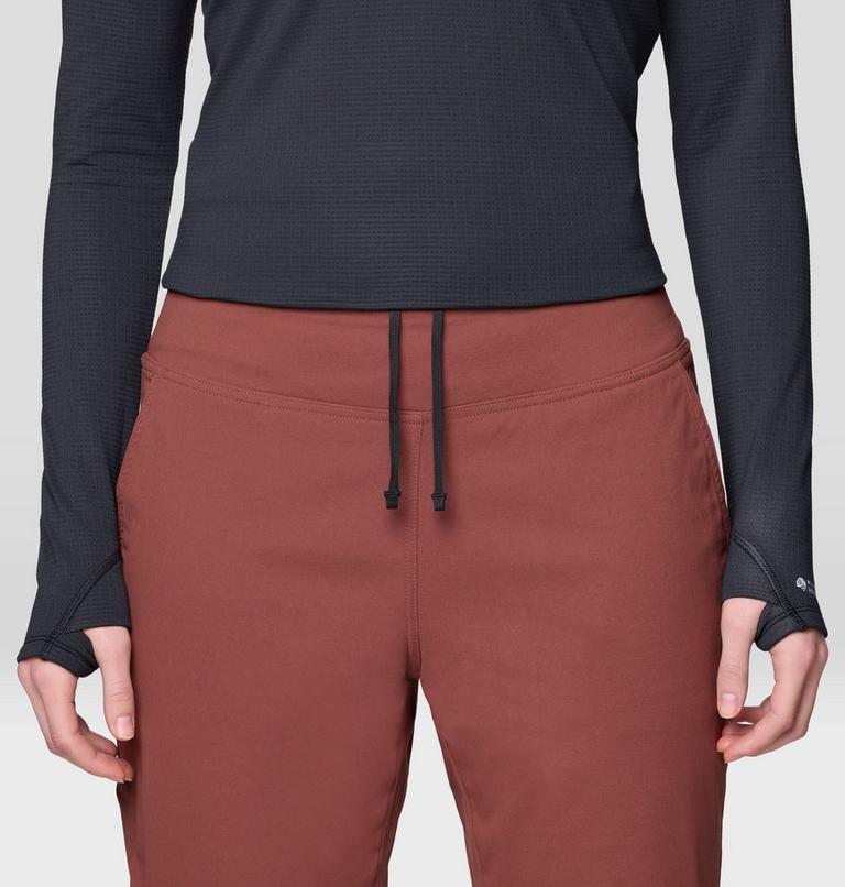 Women's Dynama Lined Pant, Color: Bourbon Brown, image 5