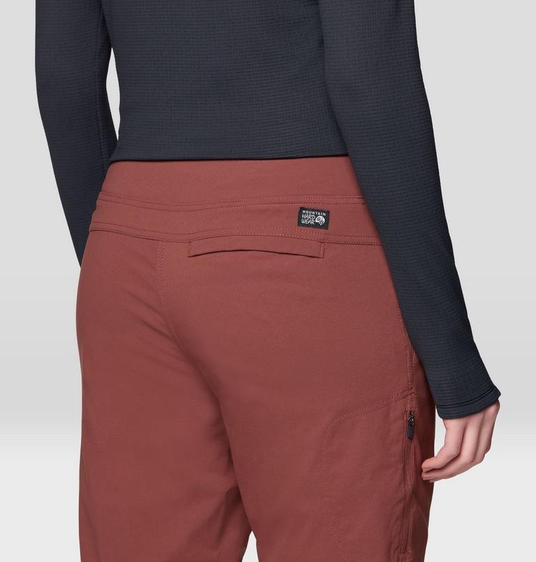 Women's Dynama Lined Pant, Color: Bourbon Brown, image 6
