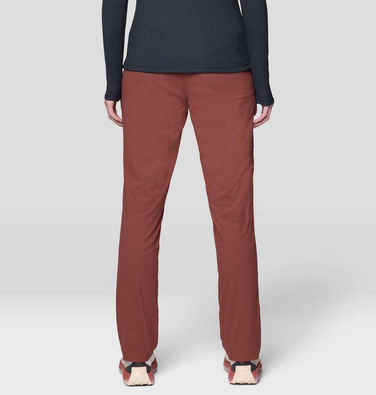Women's Dynama Lined Pant, Color: Bourbon Brown, image 3