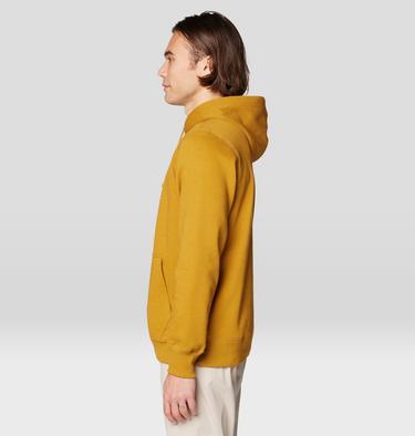 Men's Tri-Color Logo Hoody, Color: Underbrush, image 11