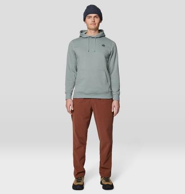 Men's Tri-Color Logo Hoody, Color: Wet Stone, image 2