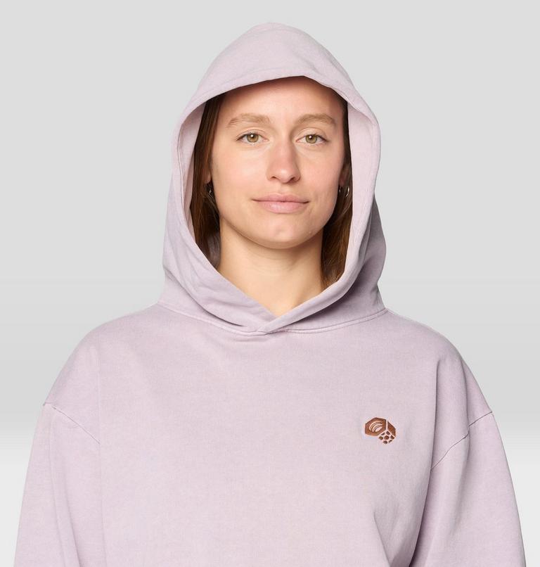 Men's Garment Dyed Pullover Hoody, Color: Atmospheric, image 9