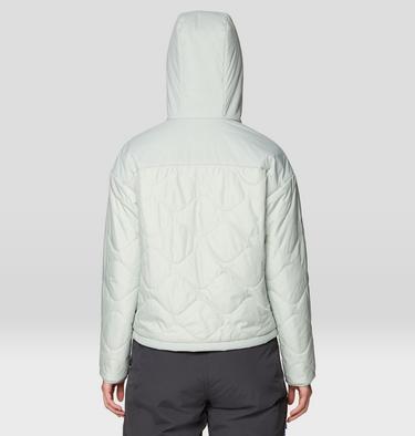 Women's Apr&egrave;s Pro Insulated Hooded Jacket, Color: Gamma Grey, image 6