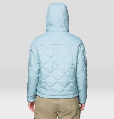 Women's Après Pro Insulated Hooded Jacket, Color: Ice Shadow, image 10